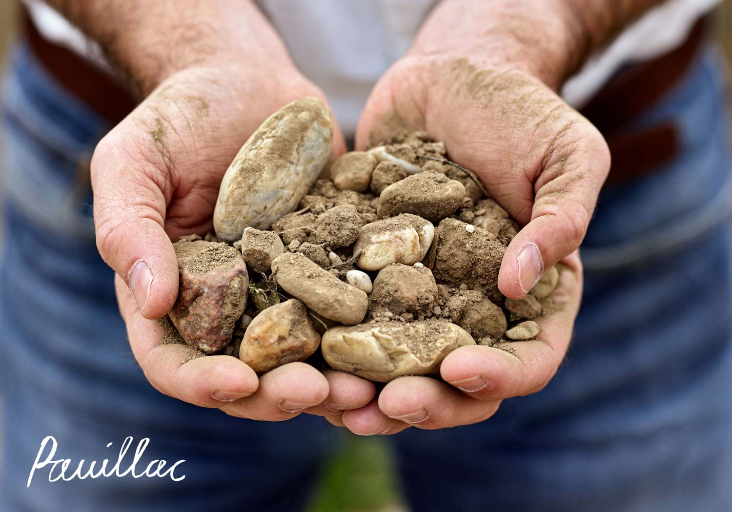 Pauillac-terroir-from-the-Bordeaux-wine-region