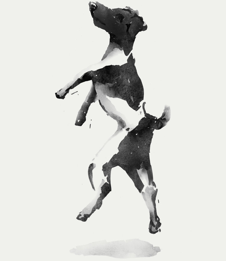 Watercolour-illustration-of-VINIV's-dog-Bogarte