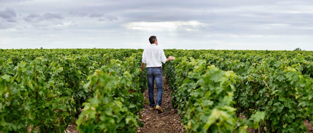 Vigneron dans le vignes